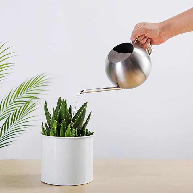 Watering Can with Long Spout and Comfortable Handle, 35 oz/1000ml Small Watering Can for Indoor Plants, Stainless Steel Garden Watering Pot for Indoor House Plants Bonsai Flower Decorative
