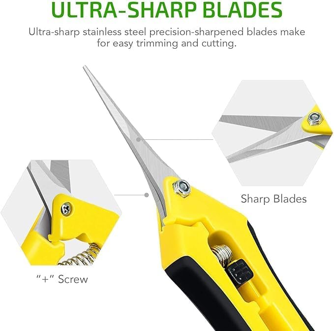 iPower 6.5 Inch Garden Hand Pruner Shears with Straight Stainless Steel Scissors, for Hydroponic Trimming Herb/Flowers/Vegetables/Plants, Yellow, 3-Pack