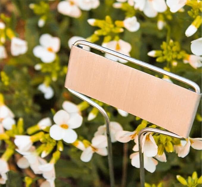 Foraineam 40 Pack 4 Inch Plant Label Stakes, Weatherproof Copper Plant Markers Seedling Signs, Reusable Metal Nameplate Garden Nursery Stake Tags for Herbs Flowers Vegetables Potted Plants