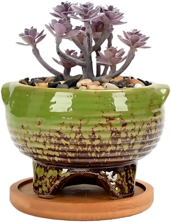 Cute Circular Ceramic Home Garden Decoration Succulent Cactus Flower Pots Container with Bamboo Tray -Plant Not Included (Green, 4.02 Inch)