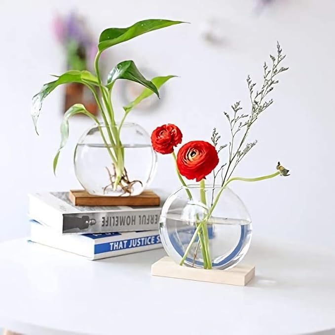 Kingbuy Round Glass Desktop Planter with Wooden Stand - Propagation Station for Small Hydroponic Plants, Spider Plants, Pothos, Lucky Bamboo - Terrarium Vase for Home Office Decor, 2-Pack, Brown