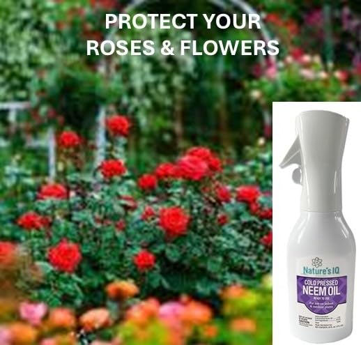 Nature's IQ Cold Pressed Neem Oil w/Spray Mist Technology. Indoor and Outdoor Plant Protection. Twin Pack