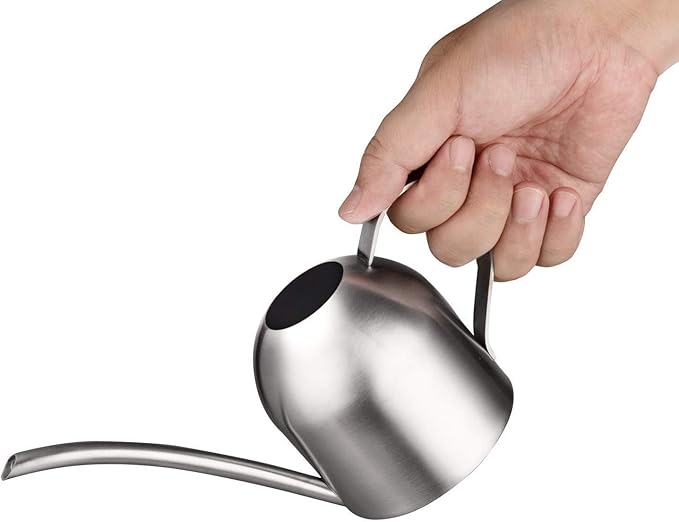 IMEEA Small Watering Can for Indoor Plants, Stainless Steel with Long Spout, 15oz/450ml – Perfect for Desk, Windowsill & Bonsai