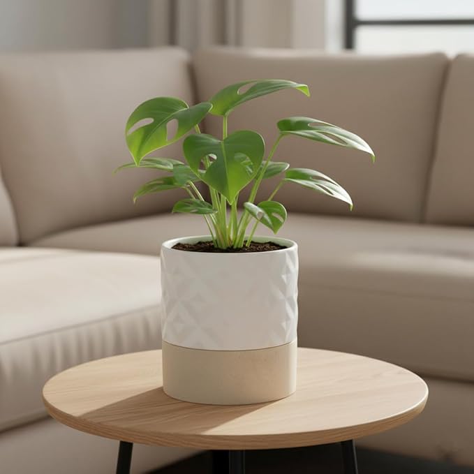 Nihow Self Watering Plant Pot for Indoor Plants: 6 Inch Ceramic Planter with Drainage Hole & Water Storage Plus - Cylinder Flower Pot with Wick for Herbs - Matte White & Brown Star