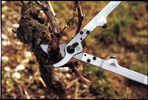 FELCO F20 Swiss Made Loppers for Gardening – 16.9" Heavy Duty Loppers Tree Trimming | Tree Branch Cutters | Tree Trimmer Tool with Replaceable Carbon Steel Blade, Forged Handles Made for Life