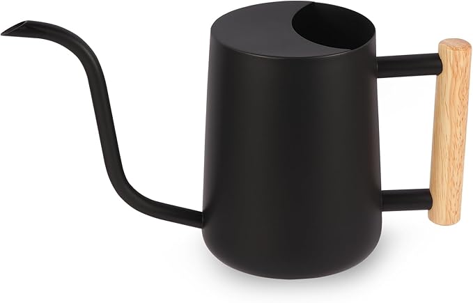 GUKJOB Plant Watering Can,35oz Metal Watering Can,Stainless Steel Indoor Plants with Long Curved Spout,Small Bonsai Outdoor Garden Modern Decorative(Black)