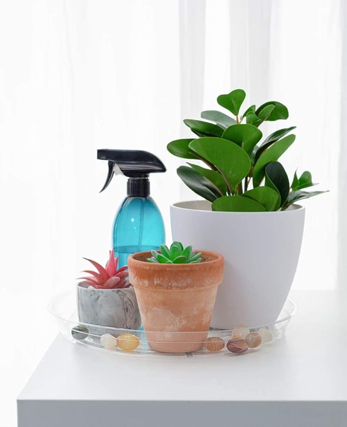 TRUEDAYS 12 Inch 5 Pack Clear Plant Saucers Flower Pot Tray Excellent for Indoor & Outdoor Plants