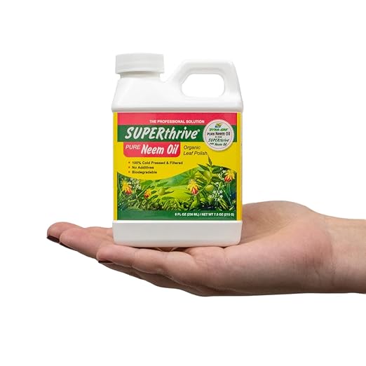 SUPERthrive Pure Neem Oil Natural Leaf, 8 oz (2 Pack)