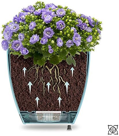 Santino 7.9 Inch Deco Self Watering Pots for Indoor Plants in Transparent (Set of 3) - Decorative Flower Pot with Water Level Indicator and Drainage Cartridge for All House Plants, Flowers and Herbs