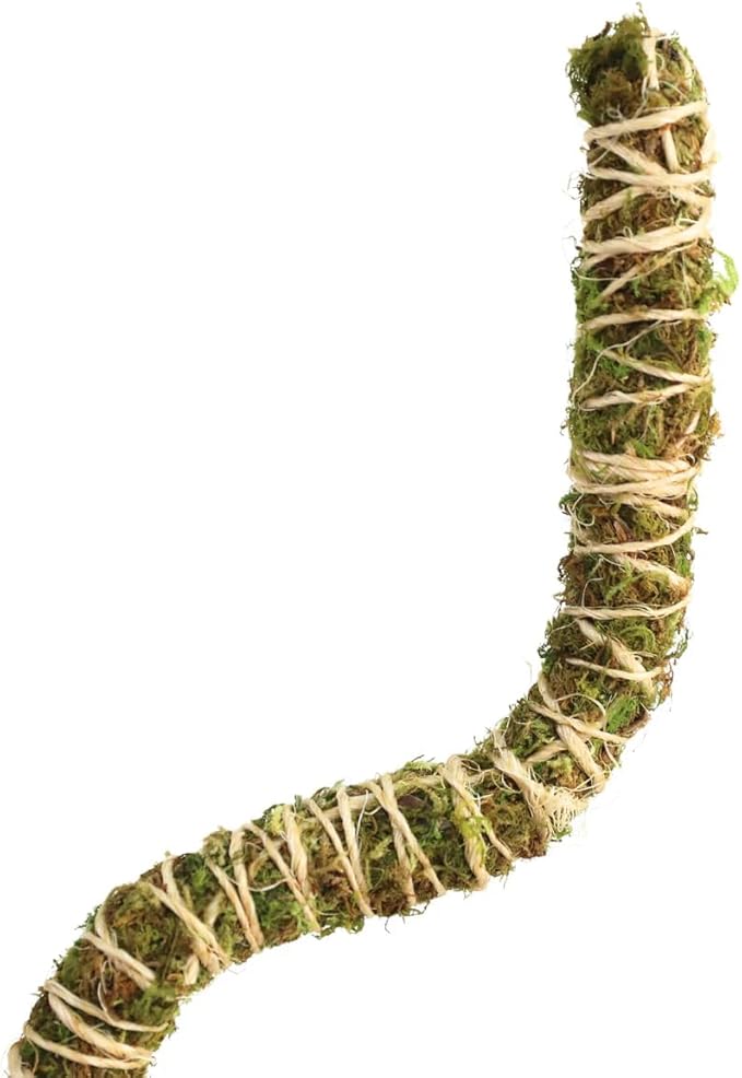 Mossify 16" Thin Bendable Moss Poles – 3-Pack | Flexible Plant Support Stakes for Climbing Plants, Vines, Monstera & Pothos | Natural Coconut Fiber Moss Stick for Indoor & Outdoor Use