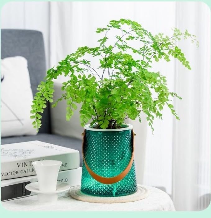 Self Watering Planters 5.9 Inch Self Watering Pots for Indoor Plants, African Violet Pots with Wick Rope, Flowers, Succulents, Herb, House Plants (Green)