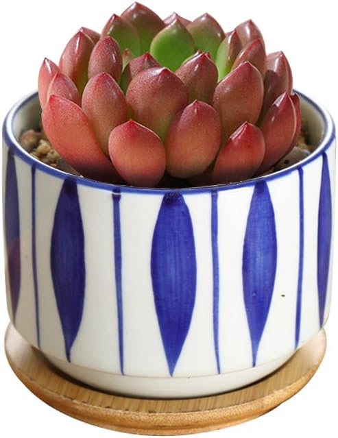 GeLive 3 Inch Ceramic Succulent Planter, Cactus Plant Pot, Flower Container with Bamboo Drip Tray, Indoor Outdoor, Set of 2 (Wave and Blue Flower)