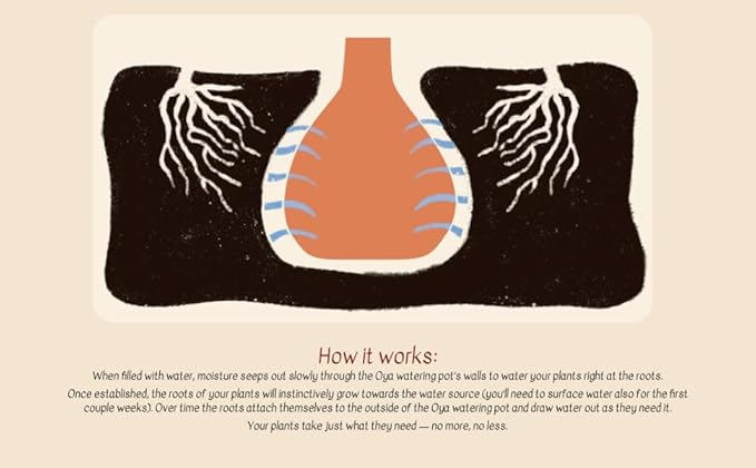 Growoya Garden OYA Large Watering Pot Plant Irrigation System Sustainable Traditional Olla Watering Smart Underground Watering Available for Garden Beds Raised Beds and Grow Bags