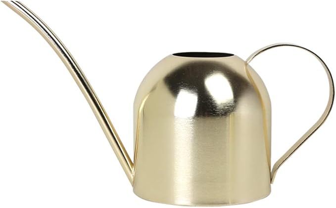 Stainless Steel Water Can for Indoor Plants and Garden (Gold 30 oz)
