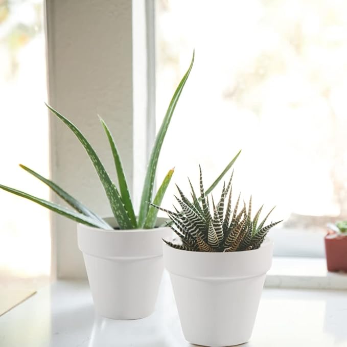 Sderoq 3 Inch Terracotta Pots - 22Pack Clay Flower Pots with Drainage Hole, Succulent Nursery Pot/Cactus Plant Pot. Great for Plants, Crafts, Wedding Favorn, DIY Production (White)