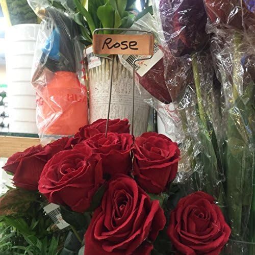 Pack of 30 Copper Plant Labels for Garden, Metal Plant Markers Nameplate, Plant Tags for Outdoor and Potted Plants (10" x 2.6")