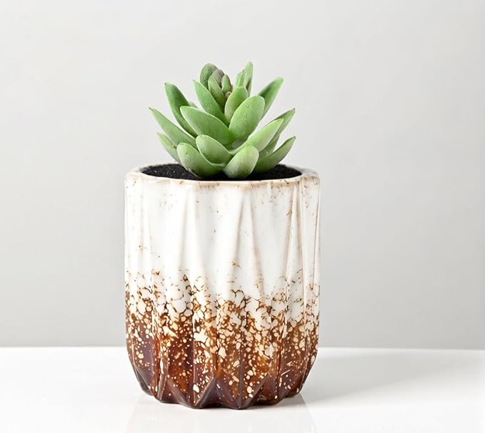 Cute Circular Ceramic Home Garden Decoration Succulent Cactus Flower Pots Container -Plant Not Included (White, 3.19 Inch)