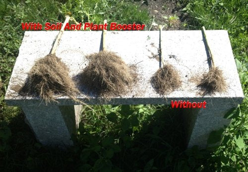 Wallace Organic Wonder, Soil and Plant Booster