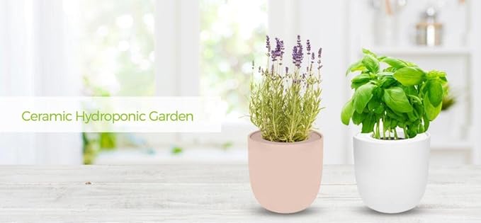 Hydroponic Herb Growing Kit, Self-Watering Kitchen Herb Garden Starter Kit with Organic Seeds (Oregano)