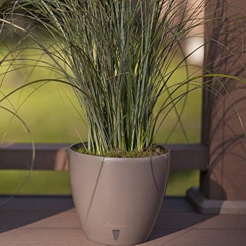 Santino, Self Watering Planter Deco 7.9 Inch, Shade , Indoor Decorative Flower Pot with Drainage Cartridge and Water Level Indicator