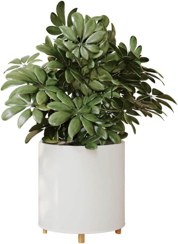 EverNest Raya White Minimalist Indoor Plant Pot with Peg Leg Stand, 10-Inch Plant Holder, SelectBase, Mid-Century Modern Plant Pot, Minimal Neutral Home Decor (Medium, 2 Gallon)