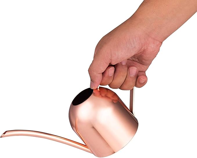 IMEEA Mini Indoor Watering Can for Small Plants, Stainless Steel with Long Spout, 15oz/450ml – Perfect for Desk, Windowsill & Bonsai