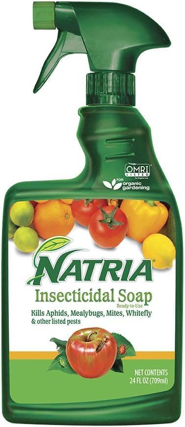 Baby Bio Houseplant Food, Concentrate, 5.9 Oz (3-Pack) with NATRIA Insecticidal Soap Insect Killer and Miticide for Organic Gardening, 24 oz, Ready-to-Use