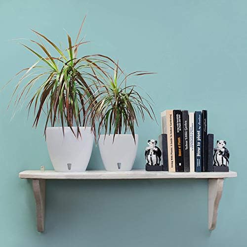 Santino, Self Watering Planter Deco 8.8 Inch, Cream, Indoor Decorative Flower Pot with Drainage Cartridge and Water Level Indicator