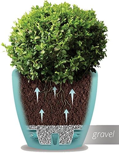 Santino, Self Watering Planter Deco 7.9 Inch,Jade, Indoor Decorative Flower Pot with Drainage Cartridge and Water Level Indicator