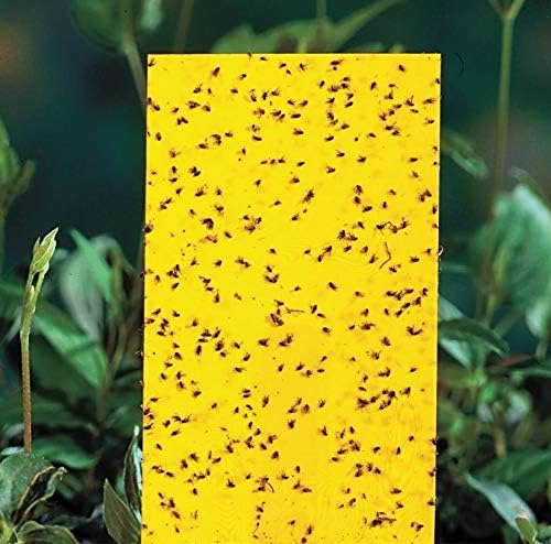 Bug Ball (100 Pack) Yellow Fly Sticky Traps Dual-Sided for White Flies, Aphids, Fungus Gnats