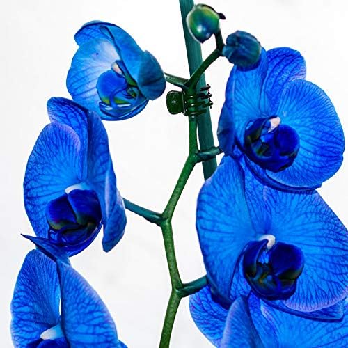 30 Pcs Plant Support Stakes Kit 15 Inch Bamboo Plant Stakes with 50 Pieces Orchid Clips Plastic Garden Plants Clips, 30 Pcs Metallic Twist Ties for Garden Supporting Stems Vines Stalks Grow Upright