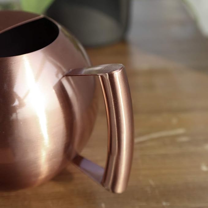 Watering Can with Long Spout and Comfortable Handle, 35 oz/1000ml Small Watering Can for Indoor Plants, Stainless Steel Garden Watering Pot for Indoor House Plants Bonsai Flower Decorative