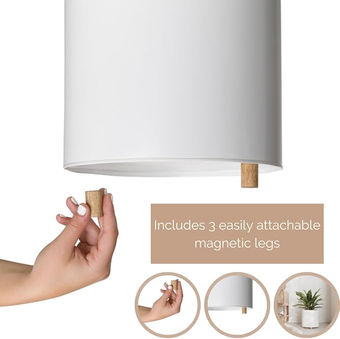 EverNest Raya White Minimalist Indoor Plant Pot with Peg Leg Stand, 10-Inch Plant Holder, SelectBase, Mid-Century Modern Plant Pot, Minimal Neutral Home Decor (Medium, 2 Gallon)