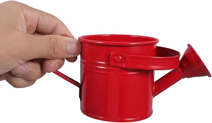 2PCS Metal Watering Can,Small Iron Kid Watering Can Indoor Plants Sprinkling Kettle with Long Spout,Boys Girls Garden Watering Pot for Outdoor Plants or Play Time(Random Colors)