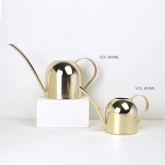 Stainless Steel Water Can for Indoor Plants and Garden (Gold 30 oz)