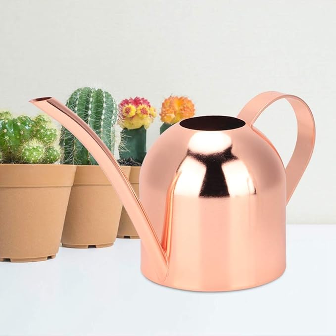 Watering Can, Stainless Steel Watering Pot with Long Spout Mini Houseplant Potted Plants Sprinkling Water Kettle for Indoor Outdoor Succulent Bonsai Garden Flower Gift Decoration 500ml(Rose Gold)