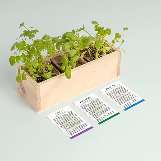 Mini Herb Garden