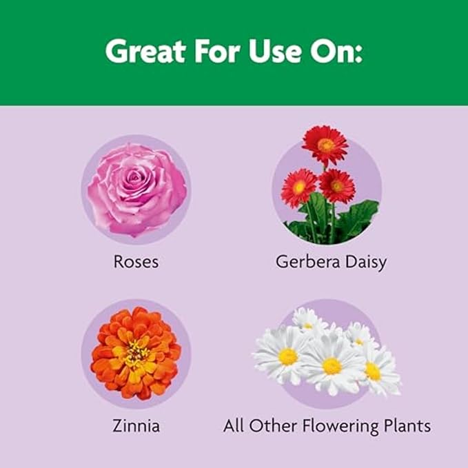 Miracle-Gro Shake 'n Feed Rose & Bloom Plant Food - Long-Lasting Granular Fertilizer for Flowering Plants, Feeds Up to 3 Months - 4.5 lbs.