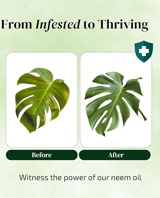 Neem Oil for Plants Refill (Makes 30 Spray Bottles, 480 fl oz) Infused with Lavender, Peppermint & Rosemary Essential Oils (2.7 fl oz)