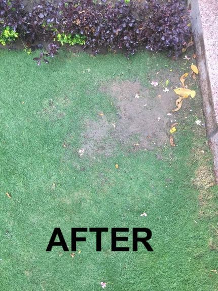 Growers Trust Nematode Control Non-Toxic, Biodegradable - Natural Nematode -Treatment ( Solution Makes 1 Gallon RTU )