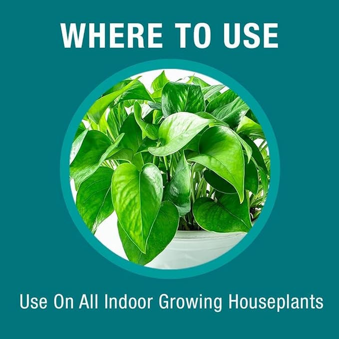 Baby Bio Houseplant Food, Concentrate, 5.9 Oz (3-Pack) with BioAdvanced Houseplant Insect & Mite Control, Ready-to-Use, 24 oz