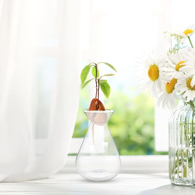 2 Pieces Avocado Seed Starter Vases, Avocados Tree Growing Kit Acorn Bulb Vase Grow Glass Avocado Pit Planter Pot Clear Hydroponics Container for Gardening Lover