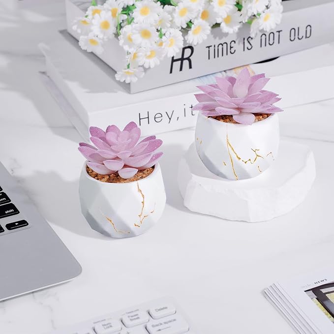 ZENIDA Artificial Succulent Plants in 2 White Ceramic Pots, Cute Fake Plants for Vanity Decor,Office, Desk, Bathroom, Kitchen,Bedroom, Shelves Decor for Women,Girls Gift
