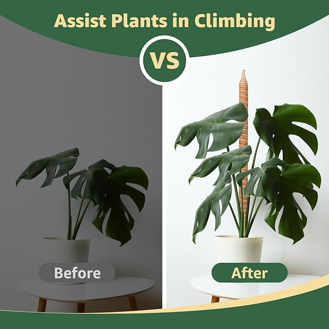60in Heavy Duty Moss Pole for Large Plants, Plant Stakes for Indoor Plants Tall, Monstera, Pothos Vines, Philodendron, Fishbone Cactus & Indoor Tropical Houseplants, Coco Coir