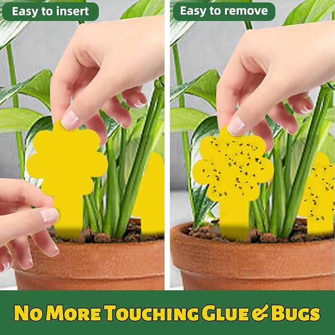 Sticky Yellow Fungus Gnat Traps, Easier to Use, No Touching Glue Or Bugs, Targets Species for Gnat, Fruit Fly & Pests, Thoughtfully Designed, High Capture Rate, Kid & Pet Safe, 36 Traps