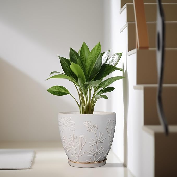 MPotTo 10 Inch Plant Pot Ceramic Planter Pot with Drainage Hole and Saucer Round Planter Large Flower Pot for Indoor Outdoor Plants Home Garden Decor White