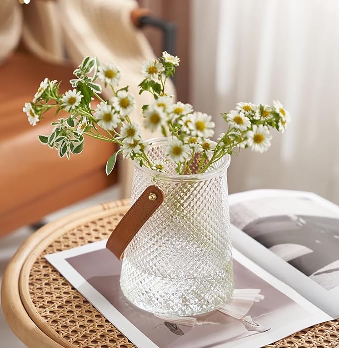 Self Watering Planters 5.9 Inch Self Watering Pots for Indoor Plants, African Violet Pots with Wick Rope, Flowers, Succulents, Herb, House Plants (Transparent Color)