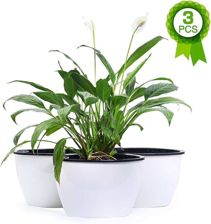 FENGZHITAO Self Watering Planter, African Violet Pots,Automatic-Watering Planter Flower Pot for Succulents, Herb, African Violets, Plants,Flowers (3 Packs White Oval Small)