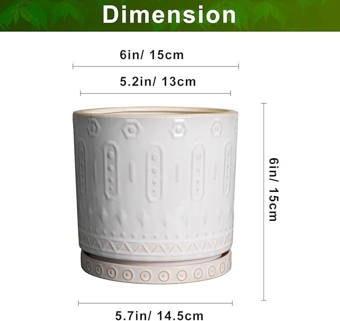 Eightpot Pot for Plants 6 Inch - Ceramic Planter for Indoor Plants Decorative Plant Pot with Drainage Holes and Saucer Outdoor Flower Pot Modern Succulent Pots for Office Desk Decor White