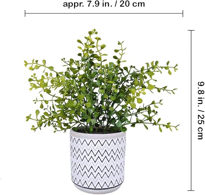 Winlyn 2 Pack Small Potted Eucalyptus Plant Artificial Plants Green Boxwood Rosemary Greenery in Modern Concrete Plant Pots